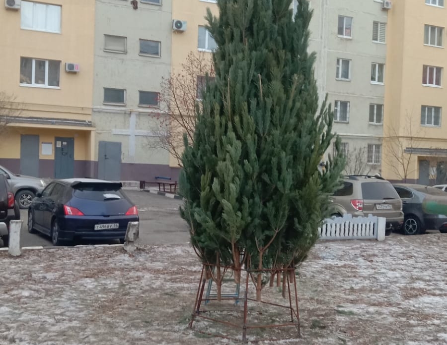 Подготовка двора к празднику